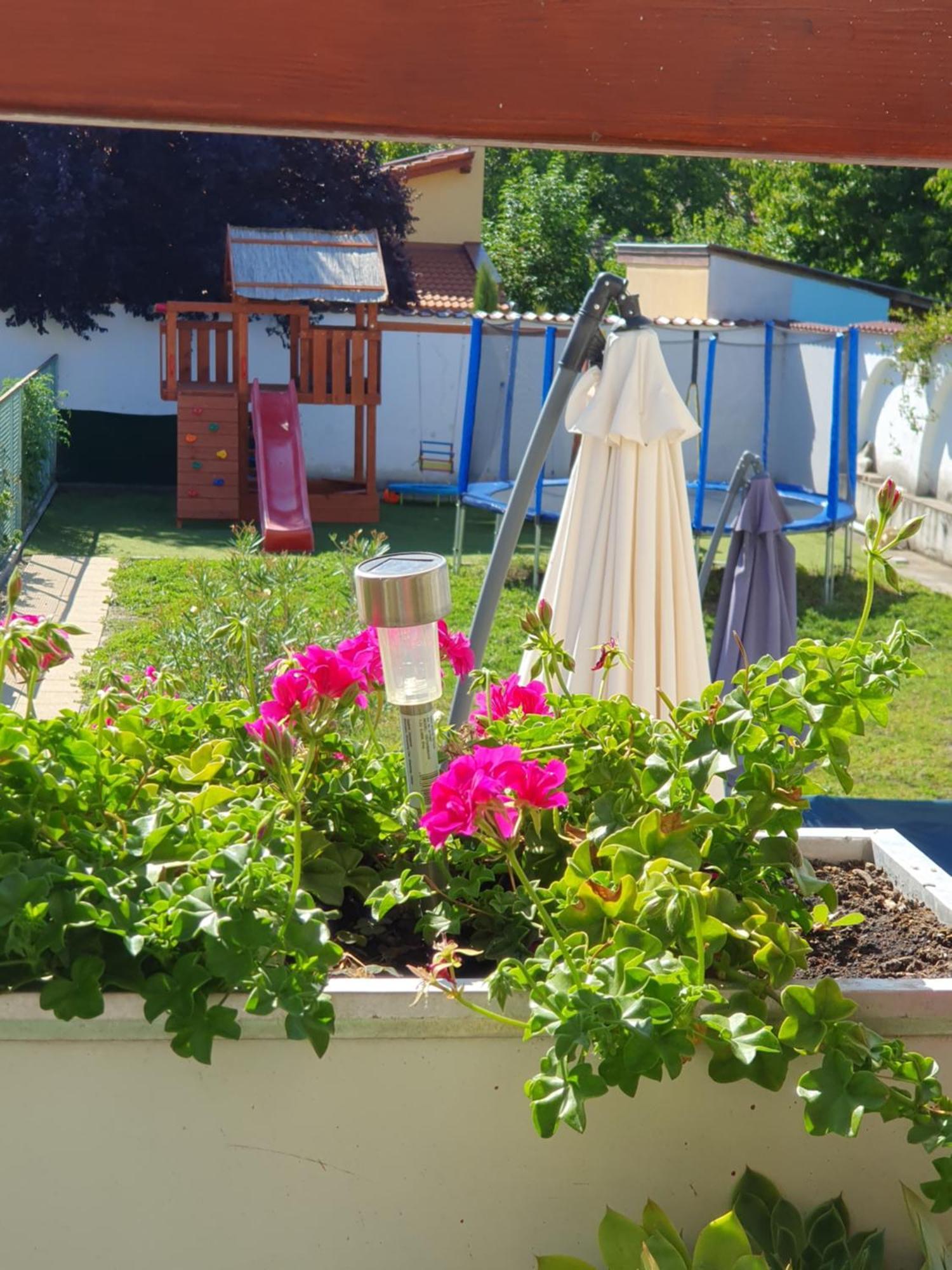 Bella Apartman Segedin Dış mekan fotoğraf